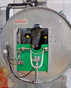 الذبح الحلال